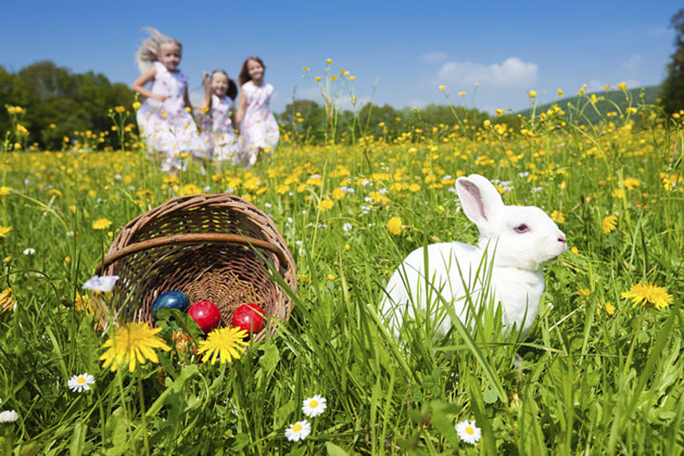 Hoppy Easter! Here&#8217;s a List of Easter Egg Hunts in Sioux Falls